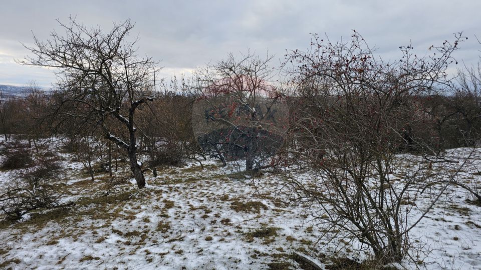 Teren 10,000mp Rădășeni / Șoseaua DN2-E85, județul Suceava