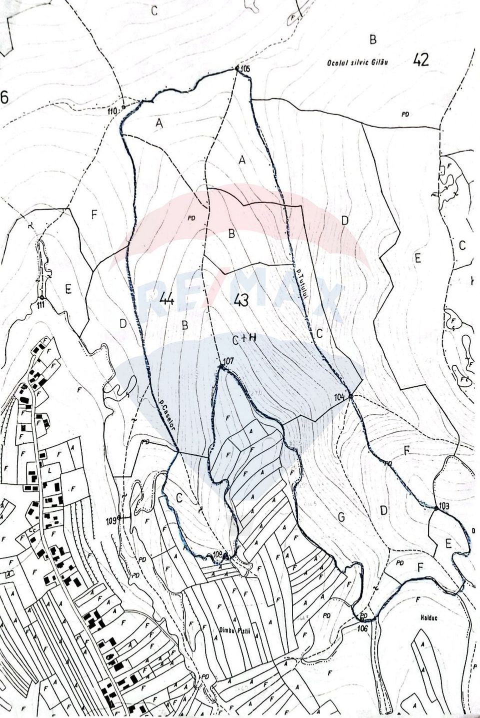 Land 340,000sqm Capusu Mare / Drumul Forestier