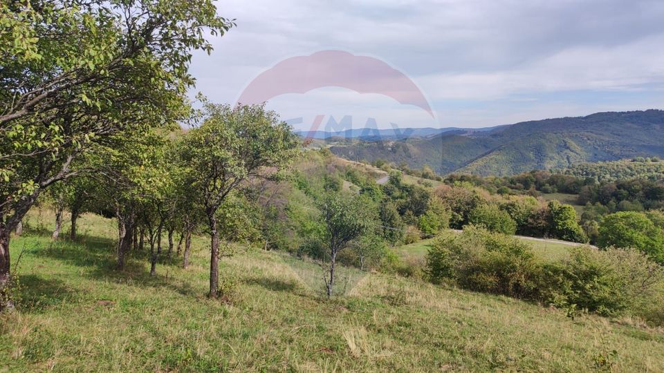 Teren intravilan constructii 3082 mp Damis Bratca drum DJ 764D