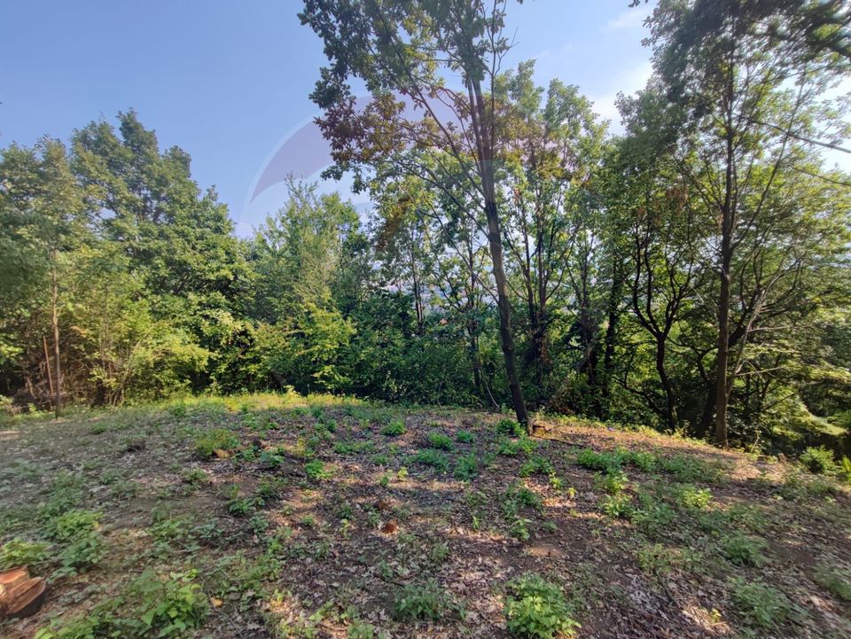 Teren intravilan 756mp si cota parte de drum Baia Mare / Str. Viilor