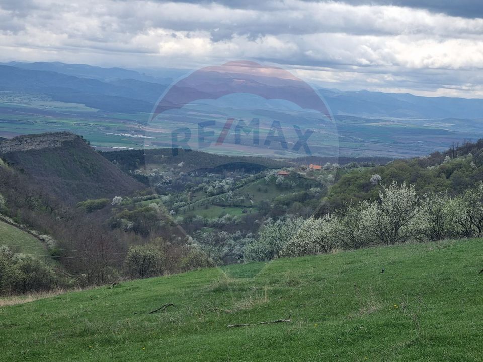 Land 23,600sqm Inuri / DJ 705C