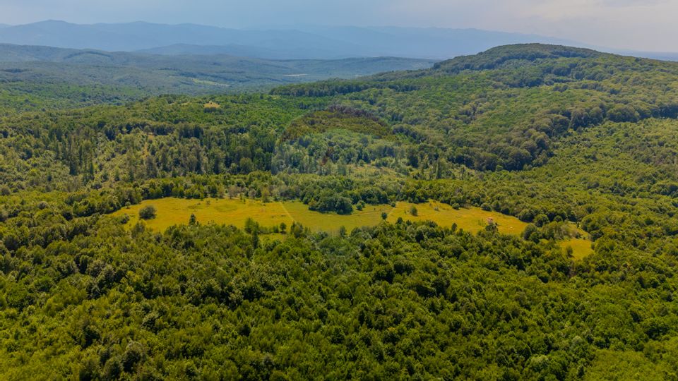 COMISION 0% Teren Grid/Inima Naturii/ Oportunitate de investiție