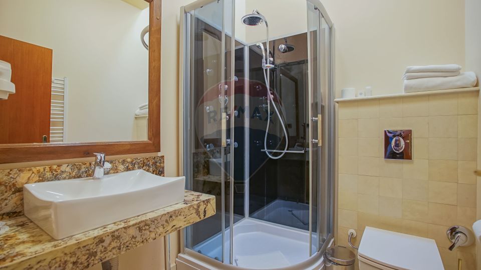 Pensiune cu vechime și prestigiu, Centrul Istoric