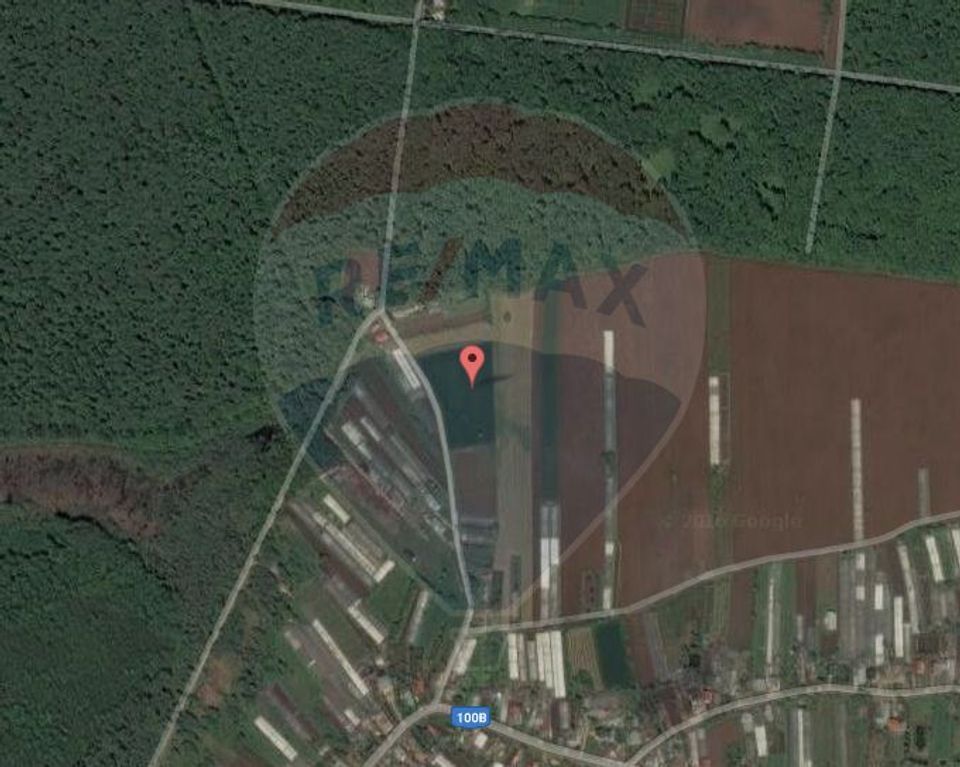 Intravilan land for sale 30 minutes from Bucharest, Curcubeu village