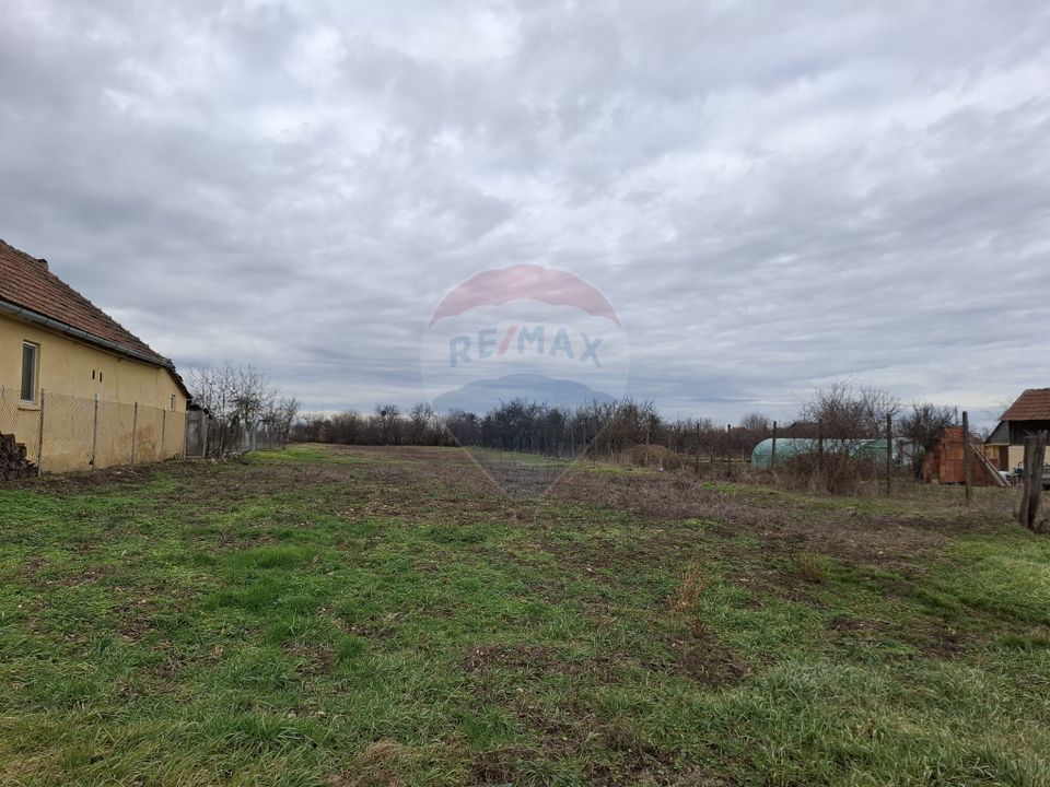 Land 1,241sqm Frumuseni / Strada FN