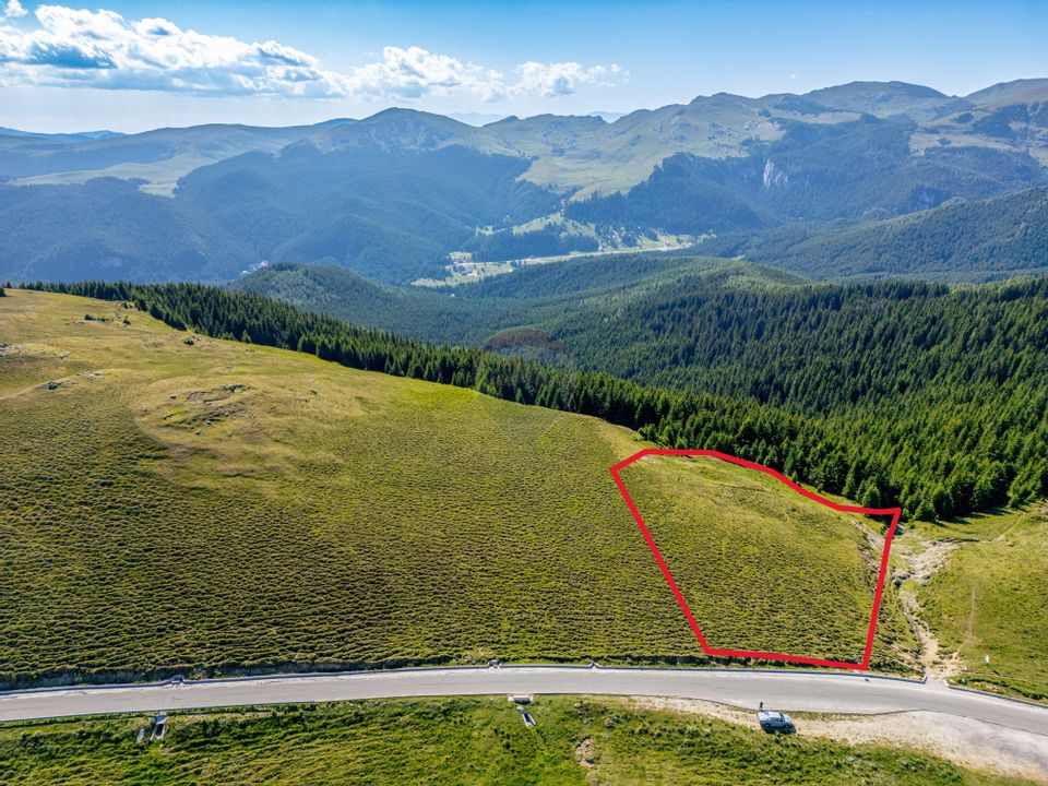 Teren intravilan Transbucegi / Oportunitate de dezvoltare Transbucegi