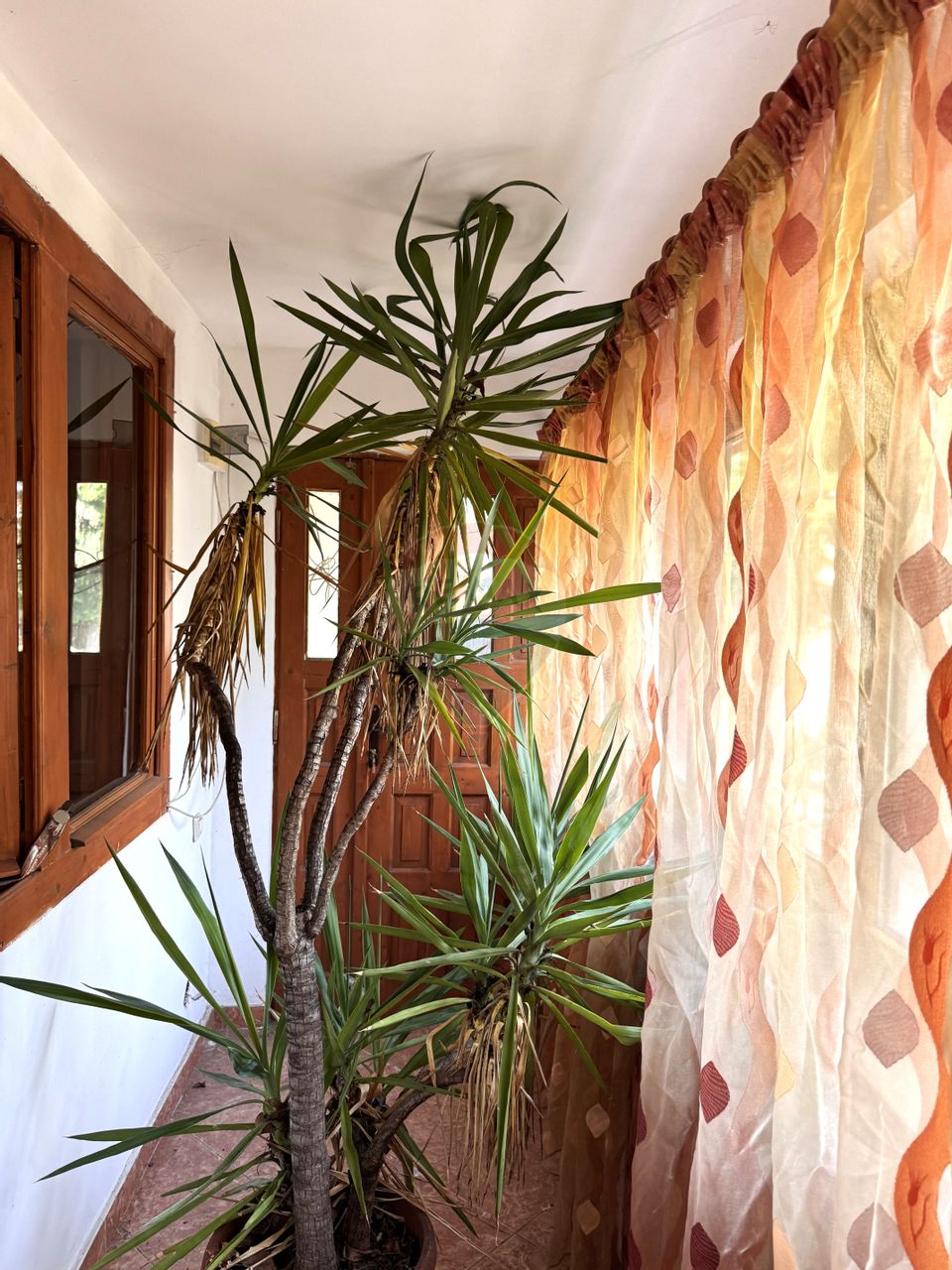 Casa individuala  6 camere de vanzare in Clinceni teren 1000mp