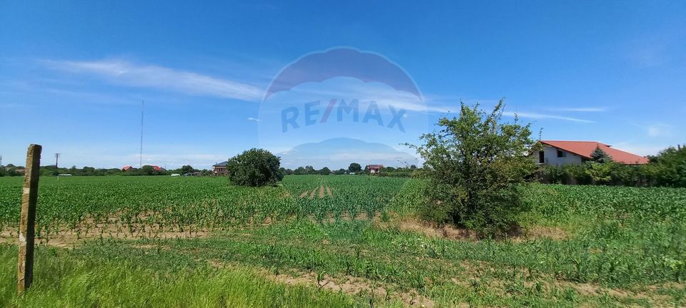 Teren intravilan de vanzare in Vladiceasca, 4370 mp, ideal investitie