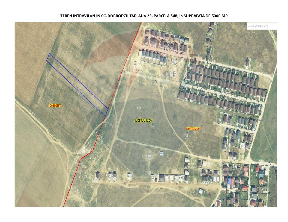 Teren 5,000mp Dobroesti / None