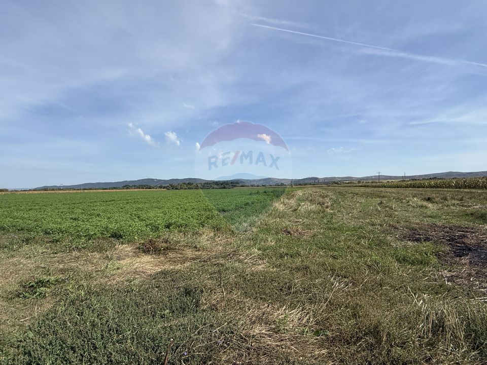 Teren Investitii 2.5 Ha | Zona Tetarom III Rascruci