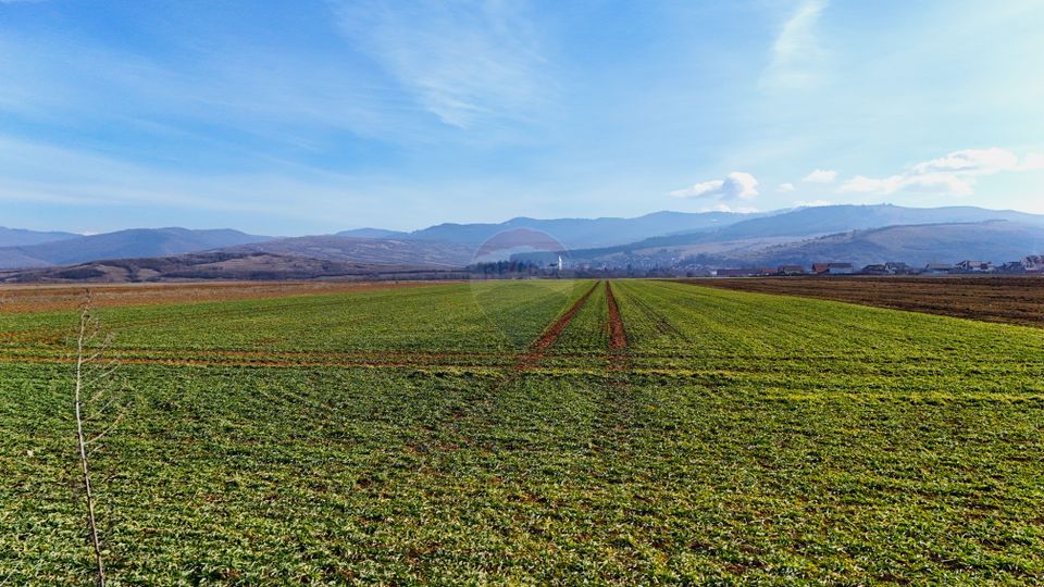 Teren extravilan | 14,600mp | Tărlungeni