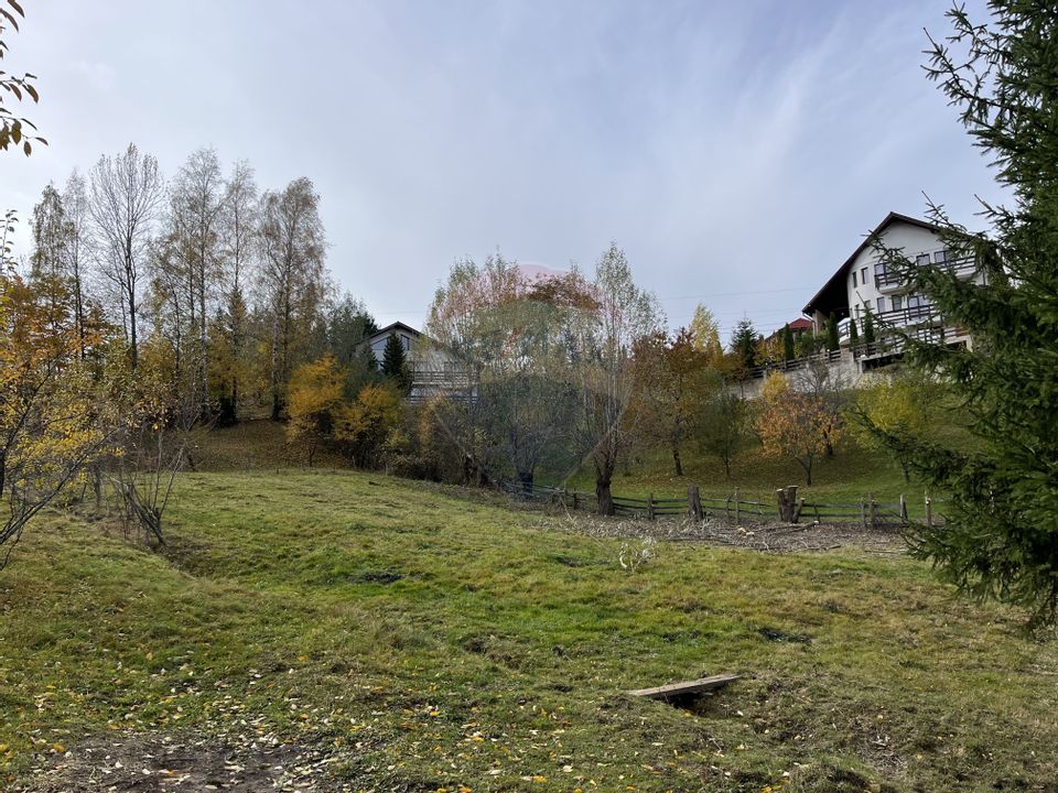 Teren de Vis în Bran – 1000mp Plat, Liniște Absolută și Aer Curat