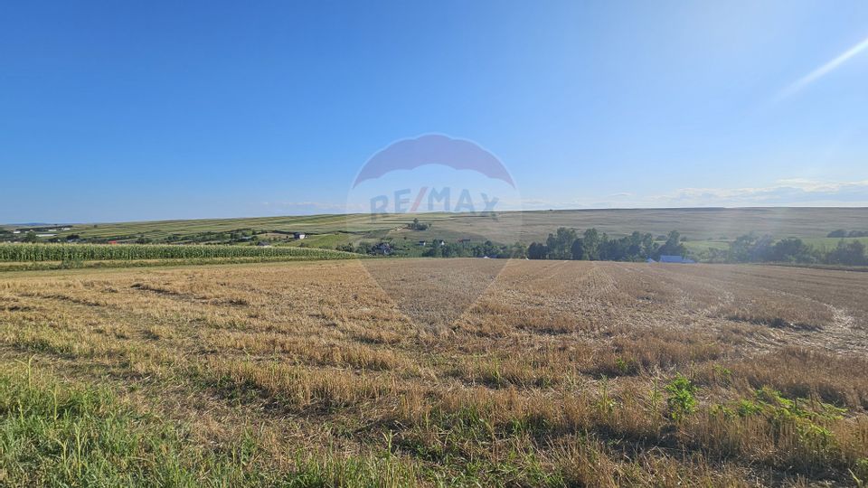 Land 7,500sqm Moara Carp / Strada Eternitatii