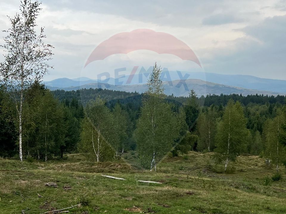 Teren extravilan parcelabil Călățele Pădure, zona Dealu Negru