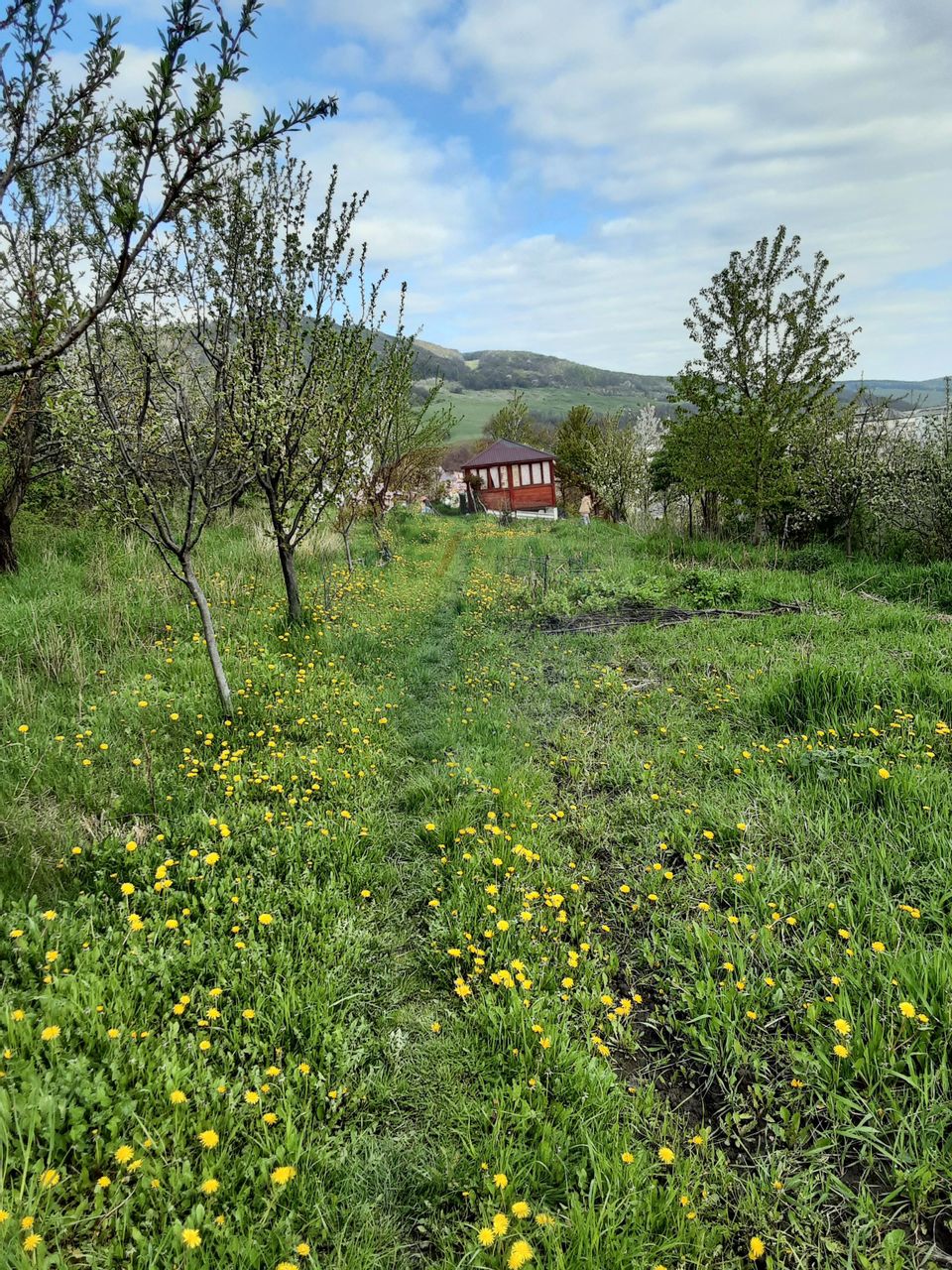 Teren 1,500mp Piatra-Neamt / Aleea Valea alba