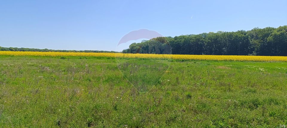 Teren 980mp Ciolpani