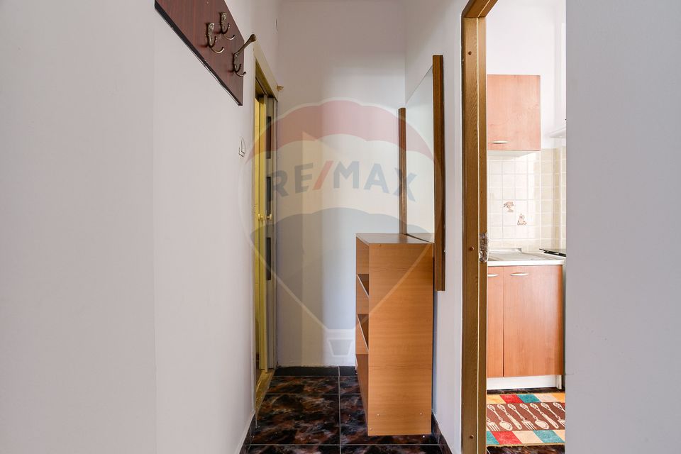 1 room Apartment for rent, Banu Maracine area