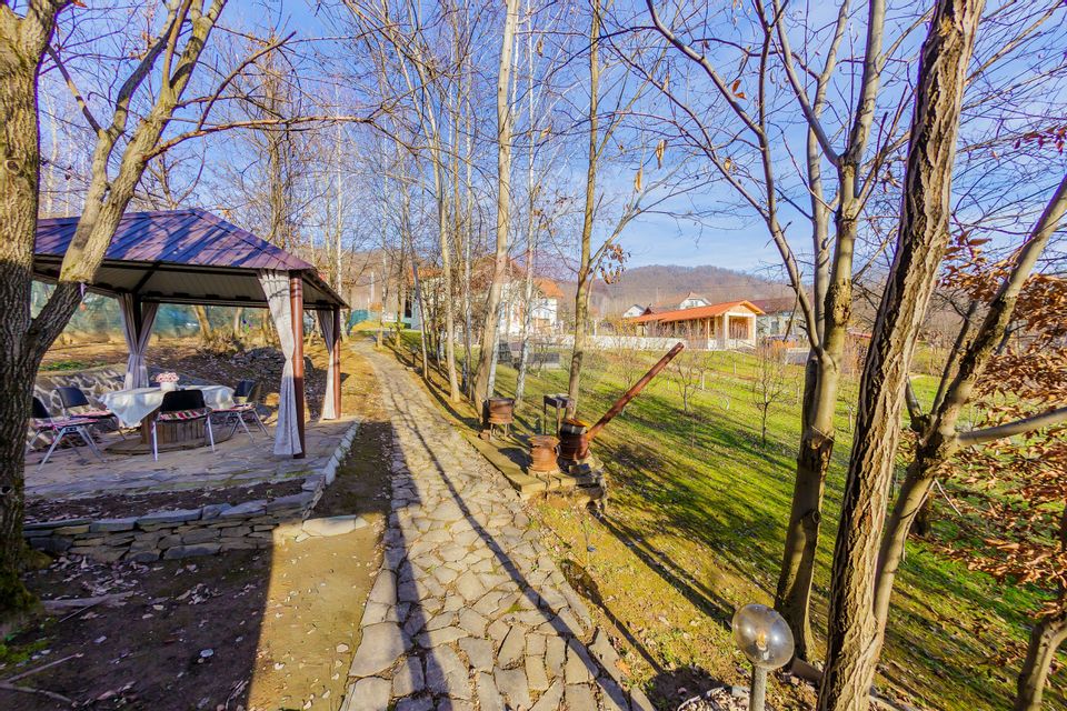 VILA DE VIS CU TEREN GENEROS, DE VANZARE