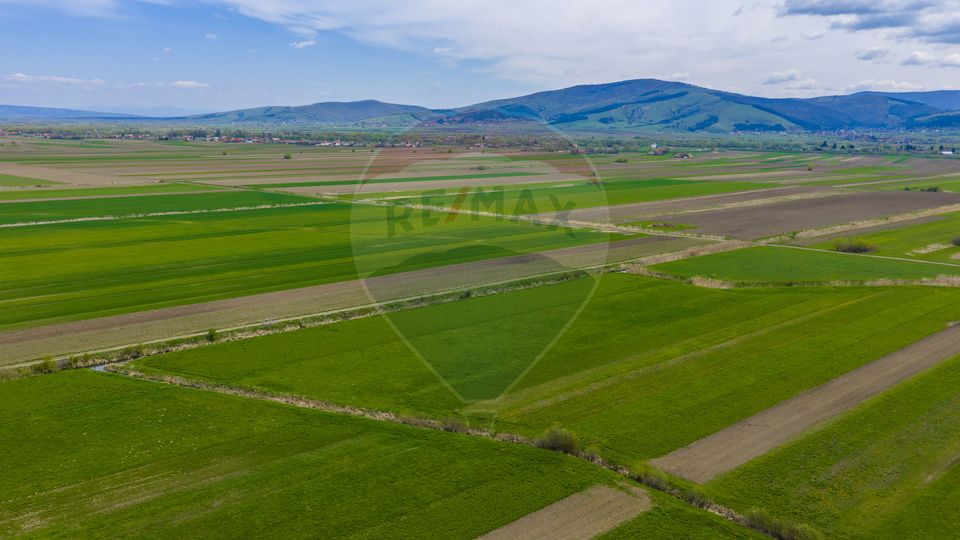 Land 4,000sqm Stupinii Prejmerului / Strada FN