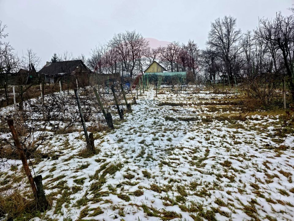 Land 4,516sqm Doina / Strada PRINCIPALA