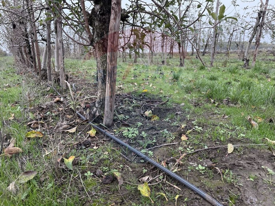 Ferma agro-industrială – 43 ha Adunații Copaceni