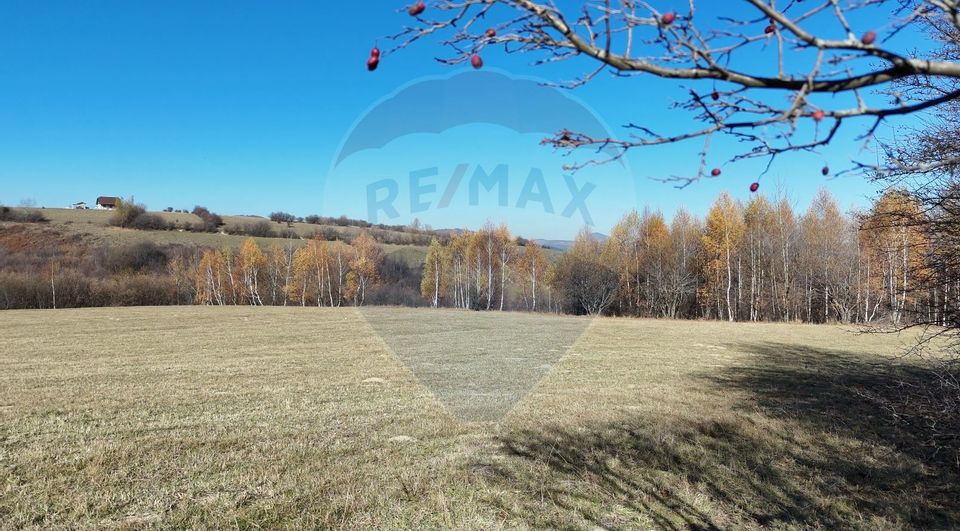 Land 17,100sqm Zarnesti / Strada Tohanita