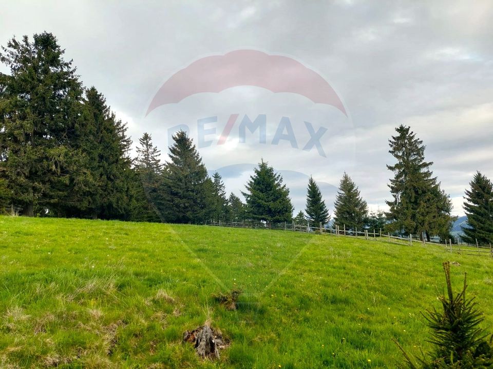 O fereastră către cer – teren de vis în Fundata, la poalele Bucegilor