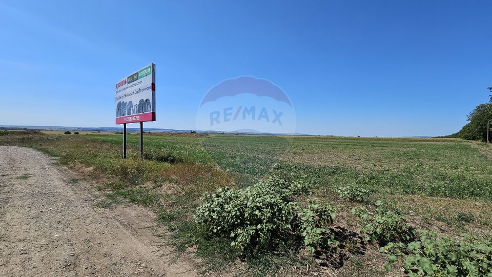 Land 52,115sqm Hutani / DJ DJ291