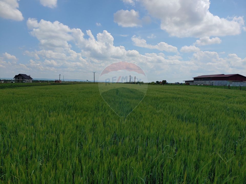 Teren intravilan 6,600mp Dumbraveni / Strada Principala spre Veresti