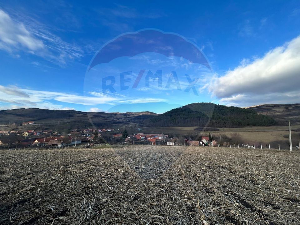 Teren Extravilan Sliminic 5000mp