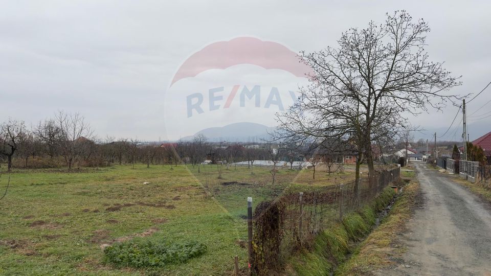 Land 938.5sqm Grosi / Strada Carbuneasca