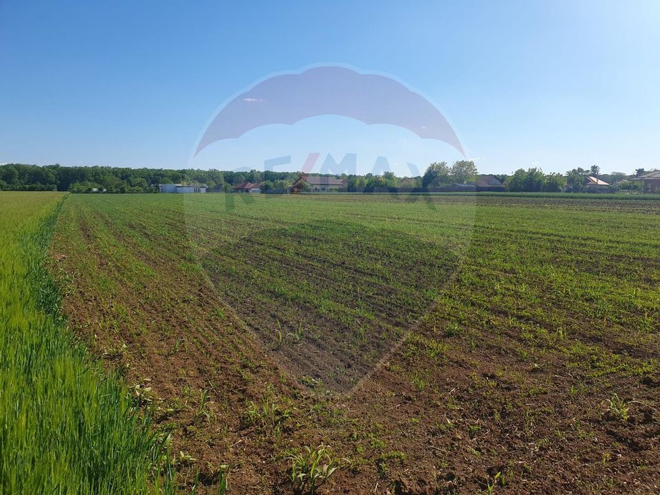 Land 12,000sqm Moara Vlasiei / Strada cantonului