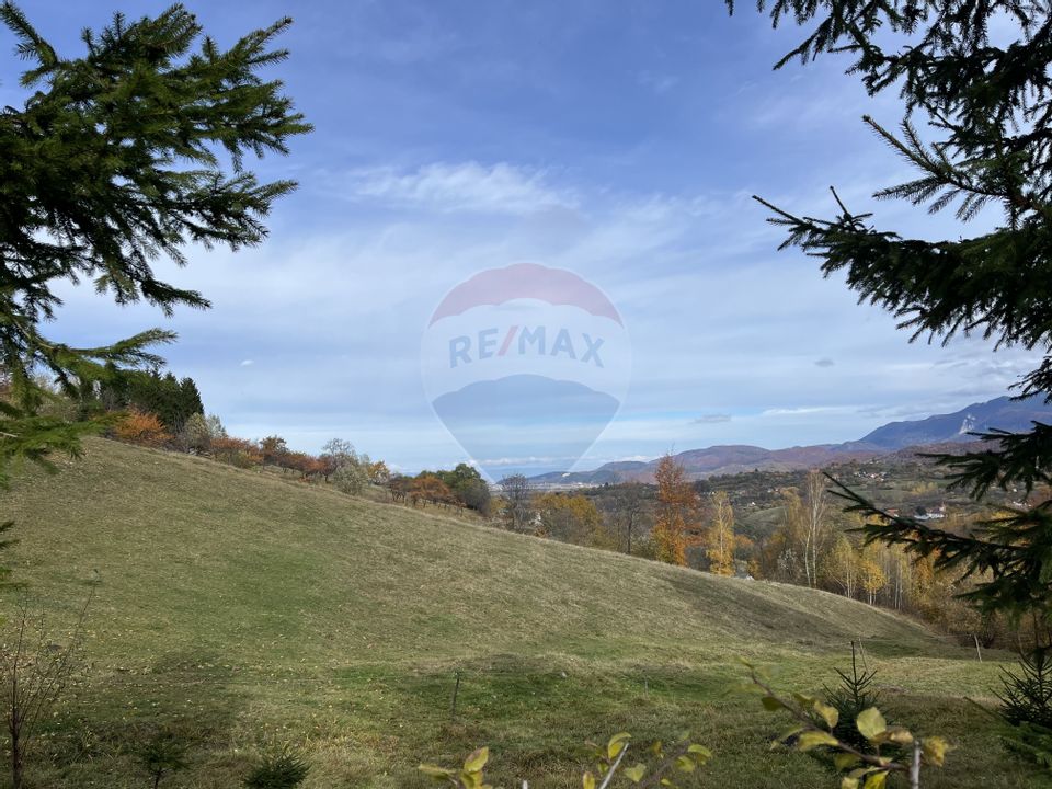 Teren de Vis în Bran – 1000mp Plat, Liniște Absolută și Aer Curat