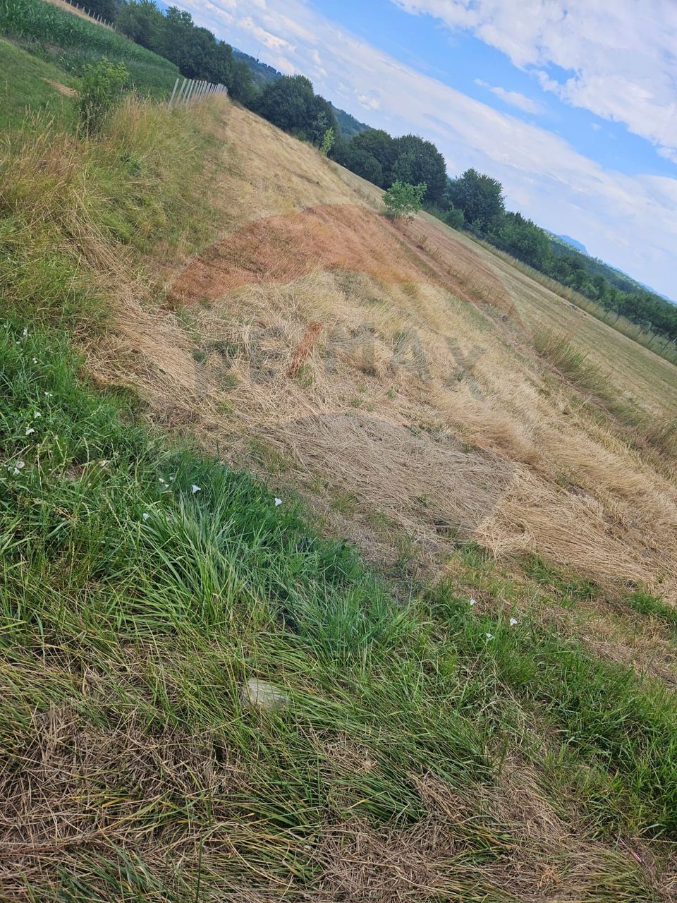 Land 1,945sqm Sarasau / Drumul PRINCIPAL