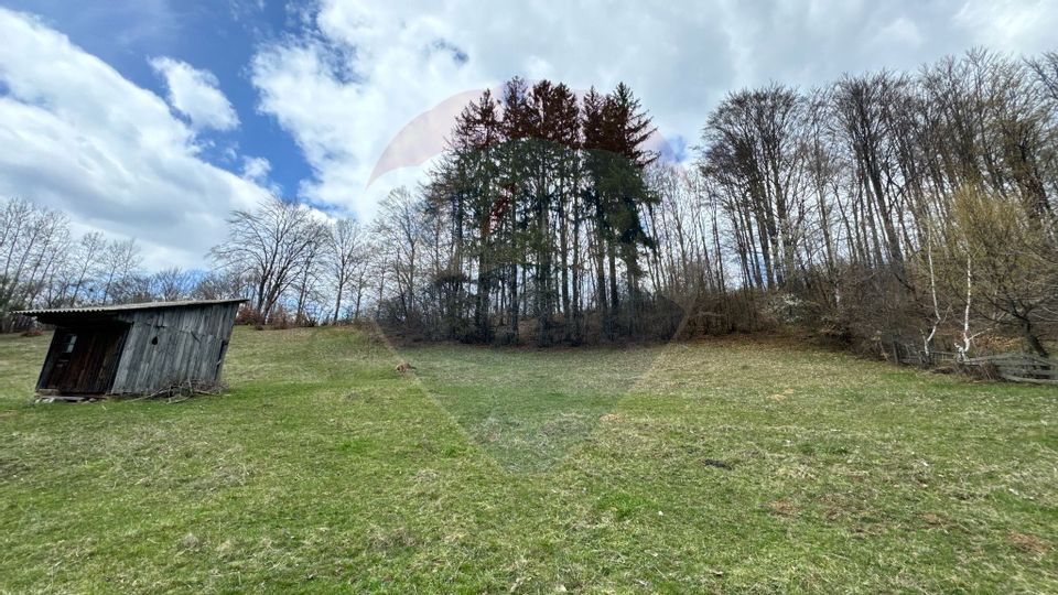 Teren generos, dar ieftin, in Nămăești - Argeș