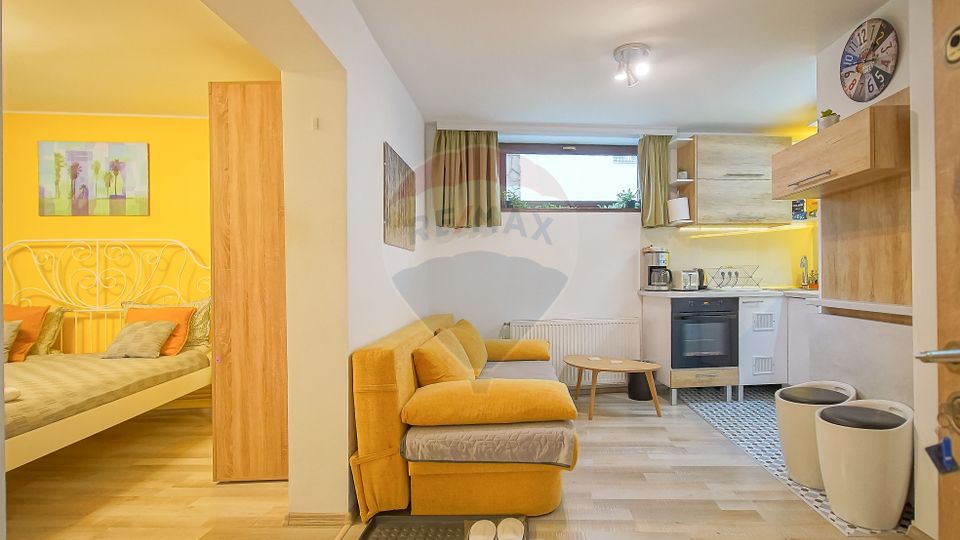 Casa cu 5 studiouri independente, terasa rooftop, vedere montana