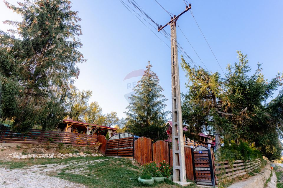 Vânzare pensiune renovată 2025 – 6 camere, Corbșori (Poenari)