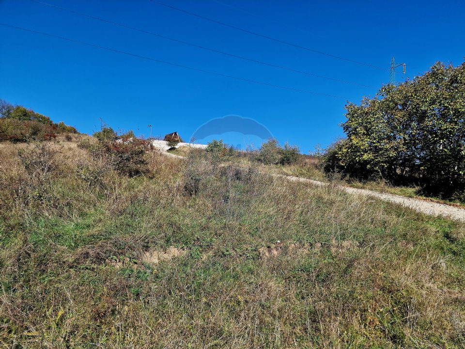 Land 1,201sqm Piatra-Neamt / Strada Punct chiclau sarata