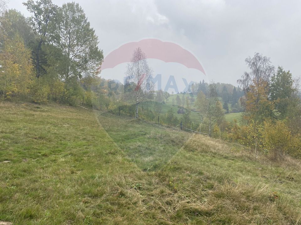 Land 8,119sqm Calatele / Strada Calatele Padure