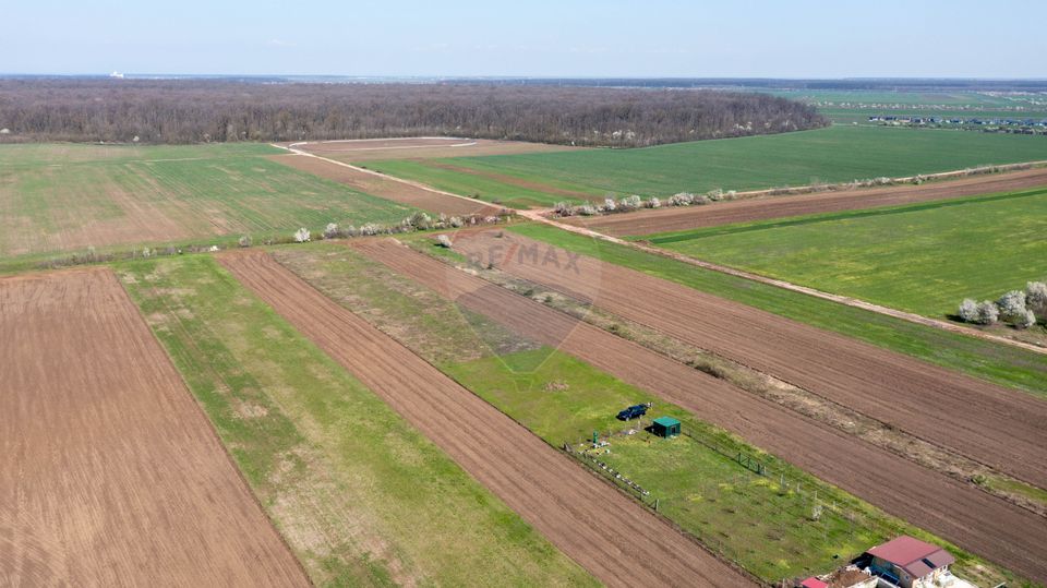 Vanzare teren intravilan 500 mp Sabareni /  Strada Orhideelor