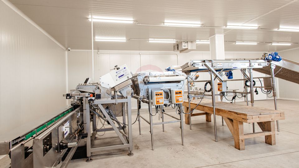 Land 27,720sqm Seini / Vest