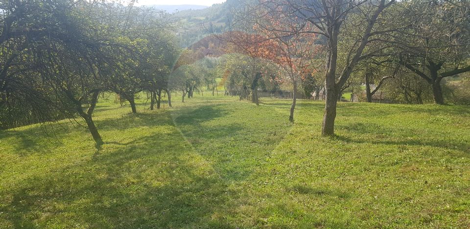 4 room House / Villa for sale