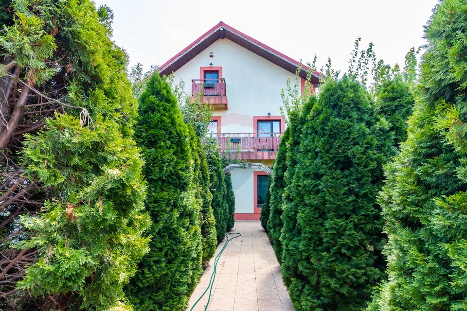 Villa for sale commercial space close to the lake and forest -Branesti