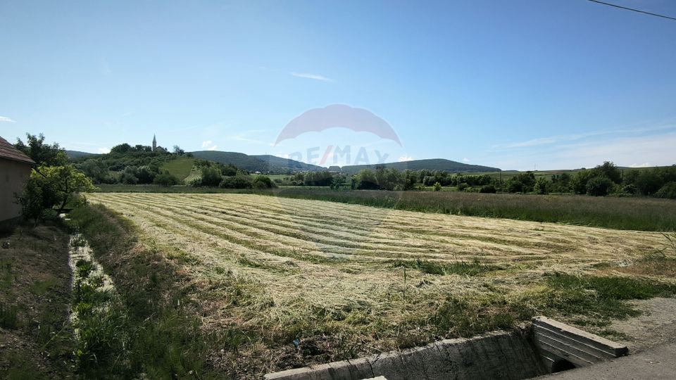 Teren de vânzare – Blăjel, jud. Sibiu | 15.360 mp - partial intravilan