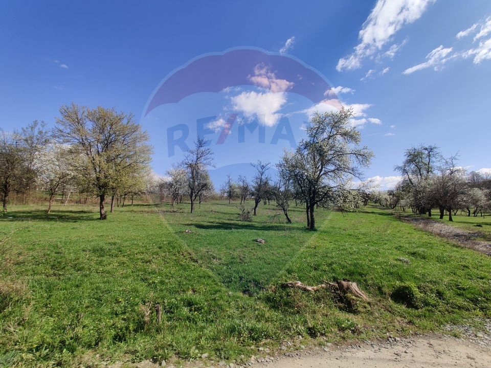 Teren intravilan pentru casă Cărbunari