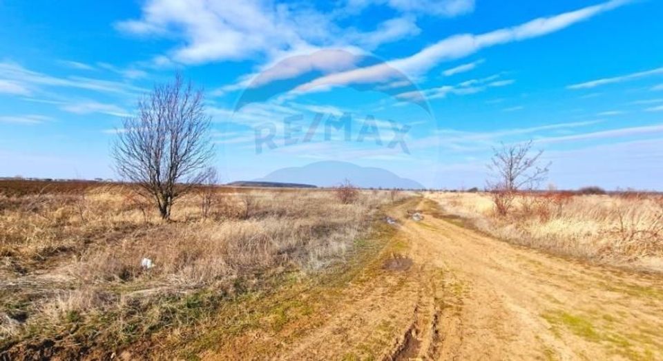 Land 7,742sqm Corbeanca / Strada Corbeanca