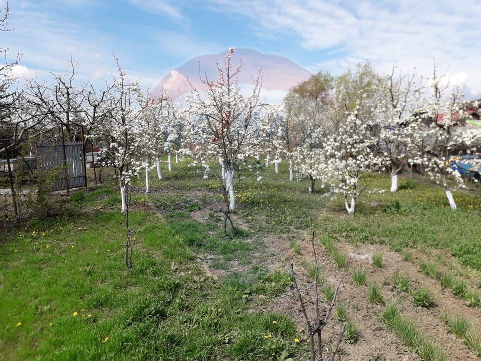 Casă  de vanzare |4 camere | Bucatarie de vara | Foisor | Livada