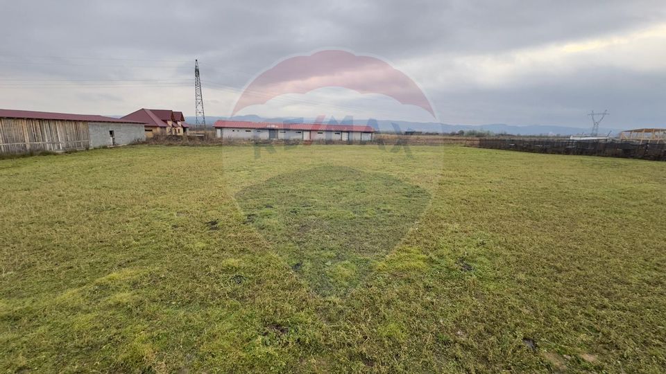 Land 3,700sqm Culcea / Drumul Padurii