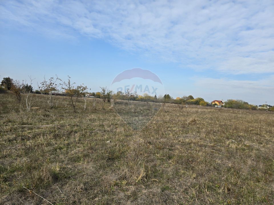 Generous plot of land Chitila / Ideal investment