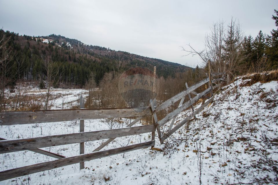 Land 49,000sqm Borca / Strada Vitoria lipan